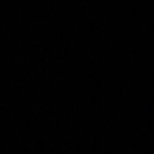 Meet your Posher, Phoebe